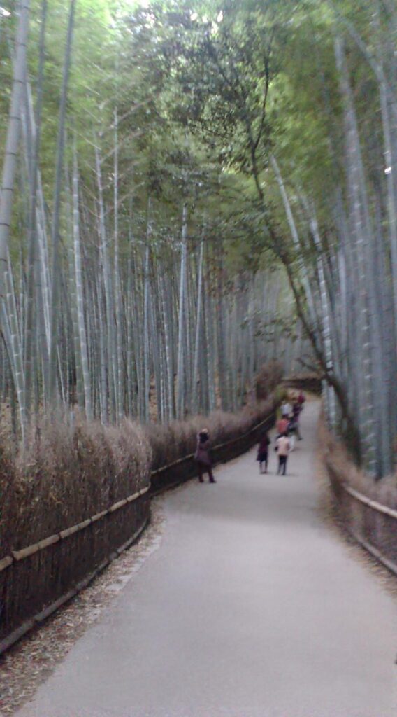 arashiyama-chikurin1