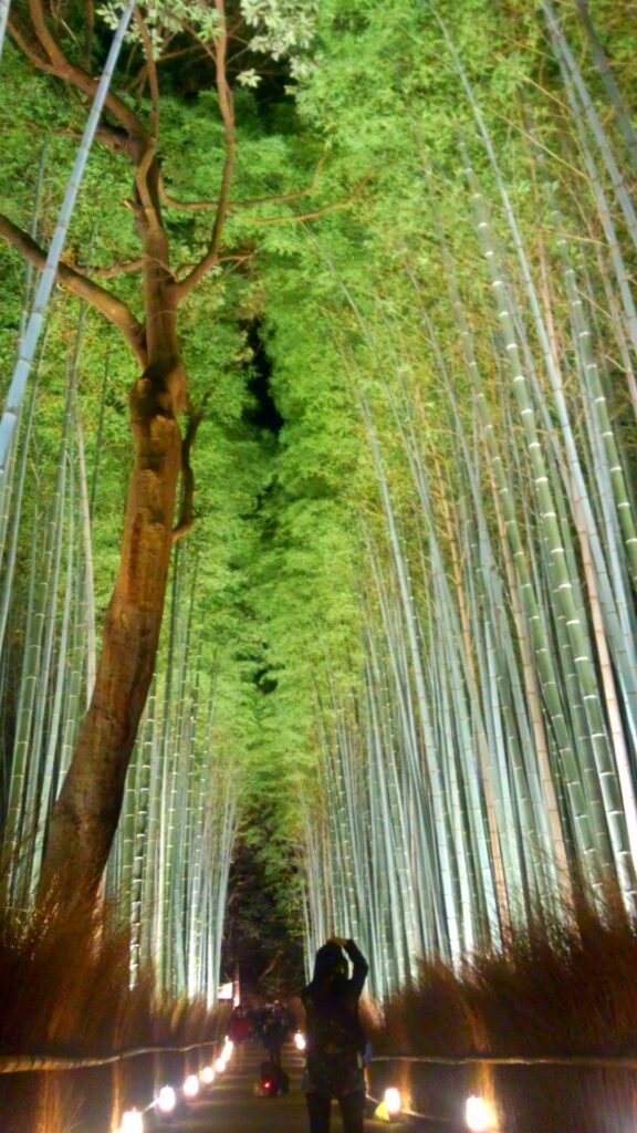 arashiyama-chikurin2