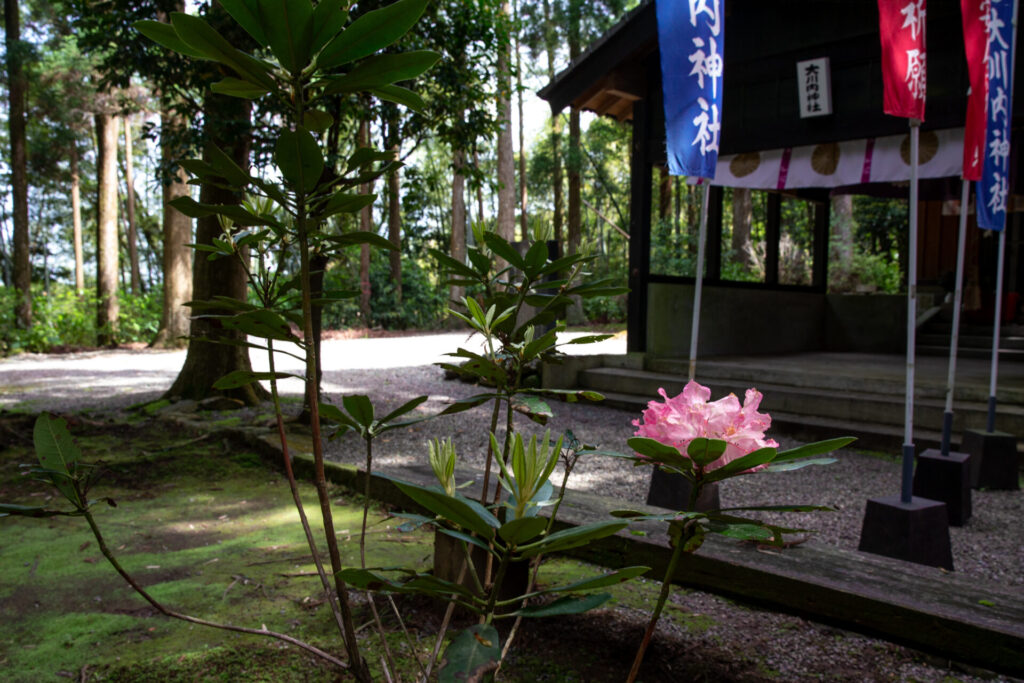 大川内神社