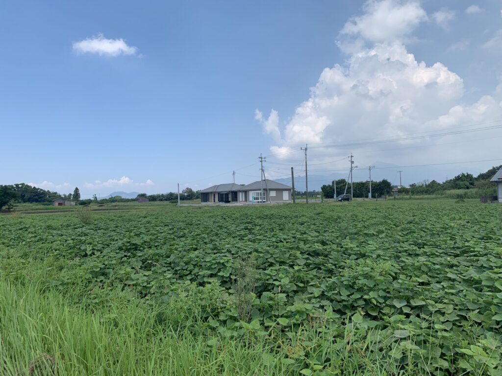 宮下地区の富山