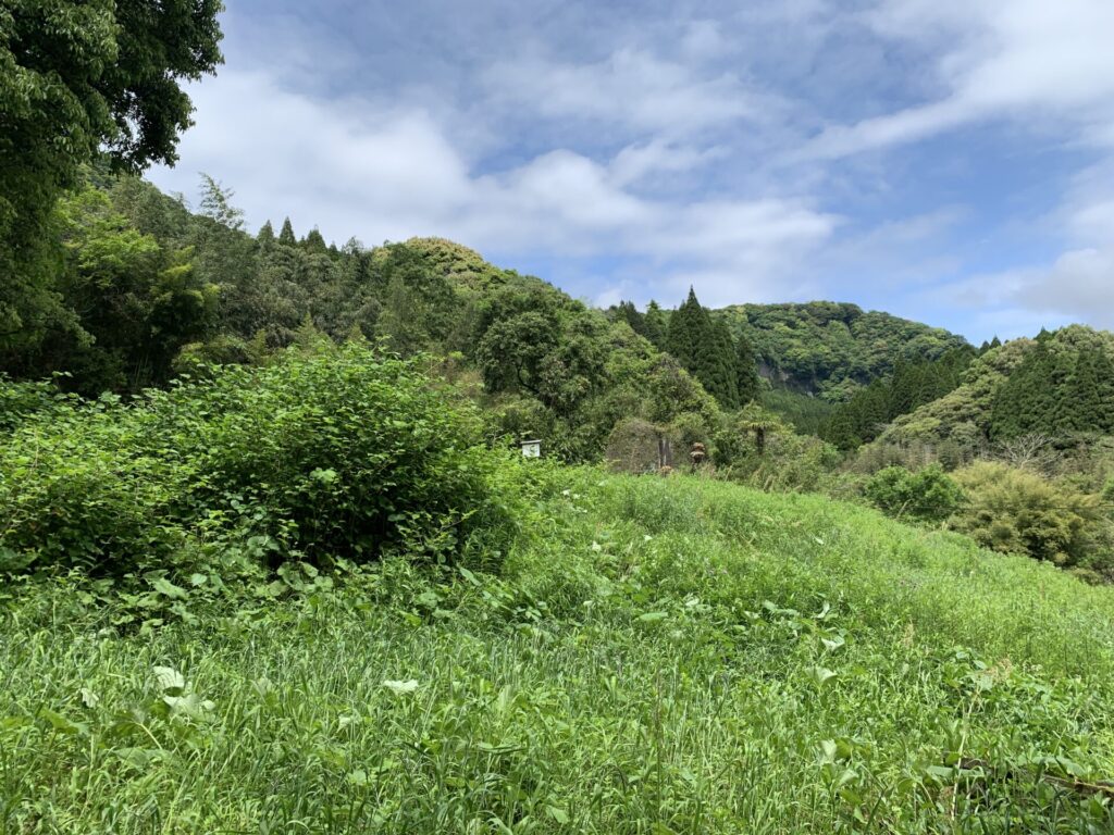 神武天皇お腰掛け岩　周りが草で覆われている