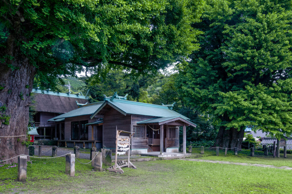 宮浦宮