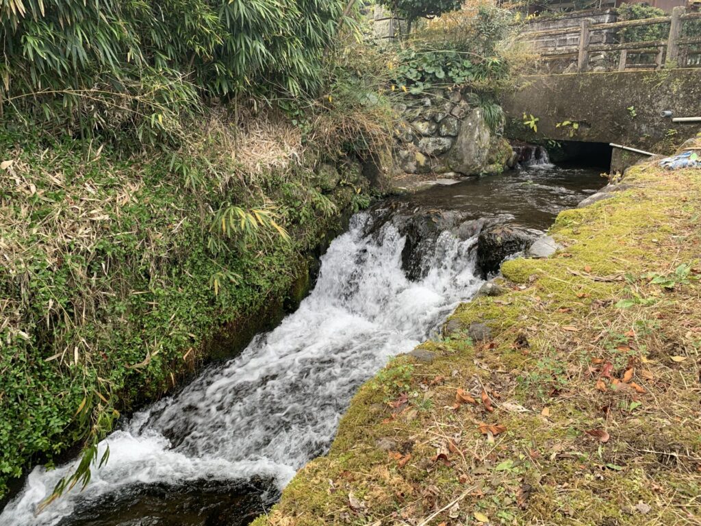 祓川のせせらぎ