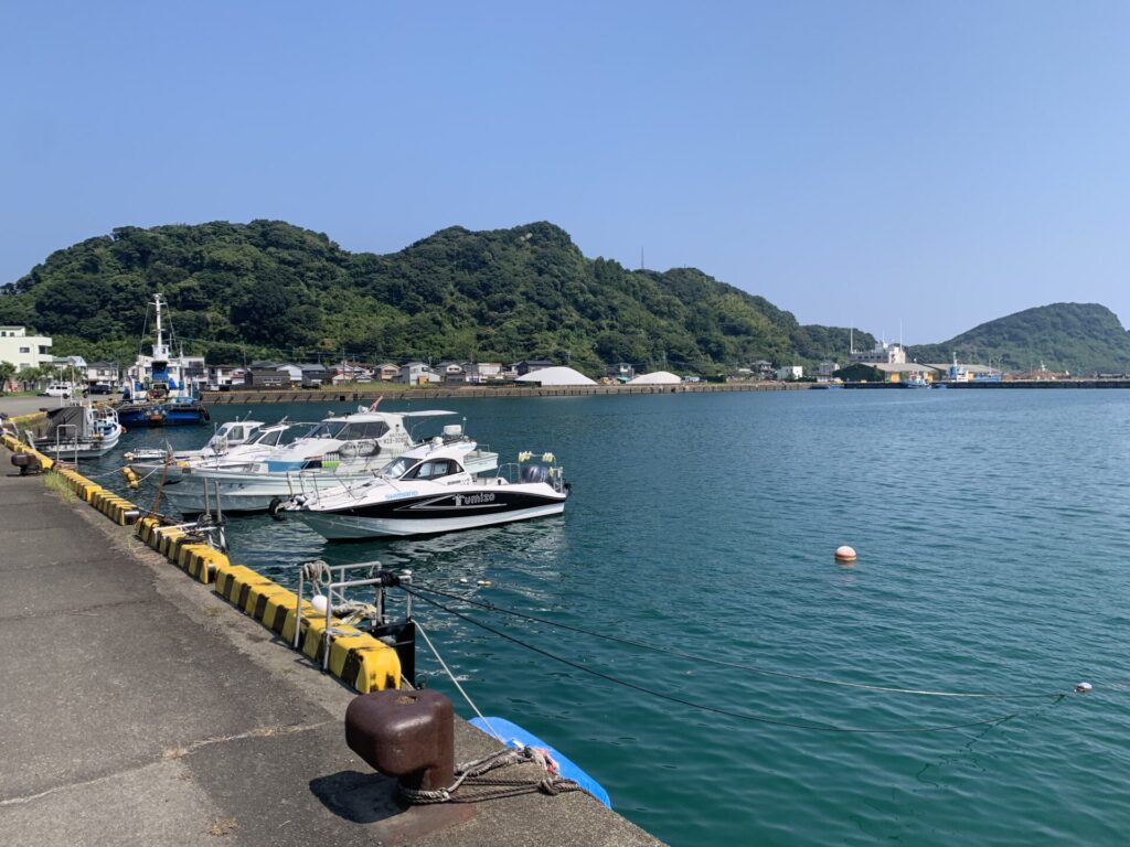 油津港