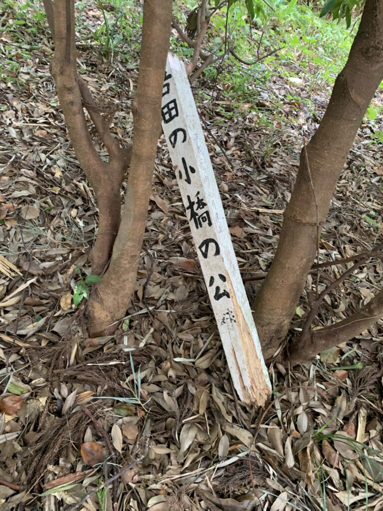 伝承墓　標識
