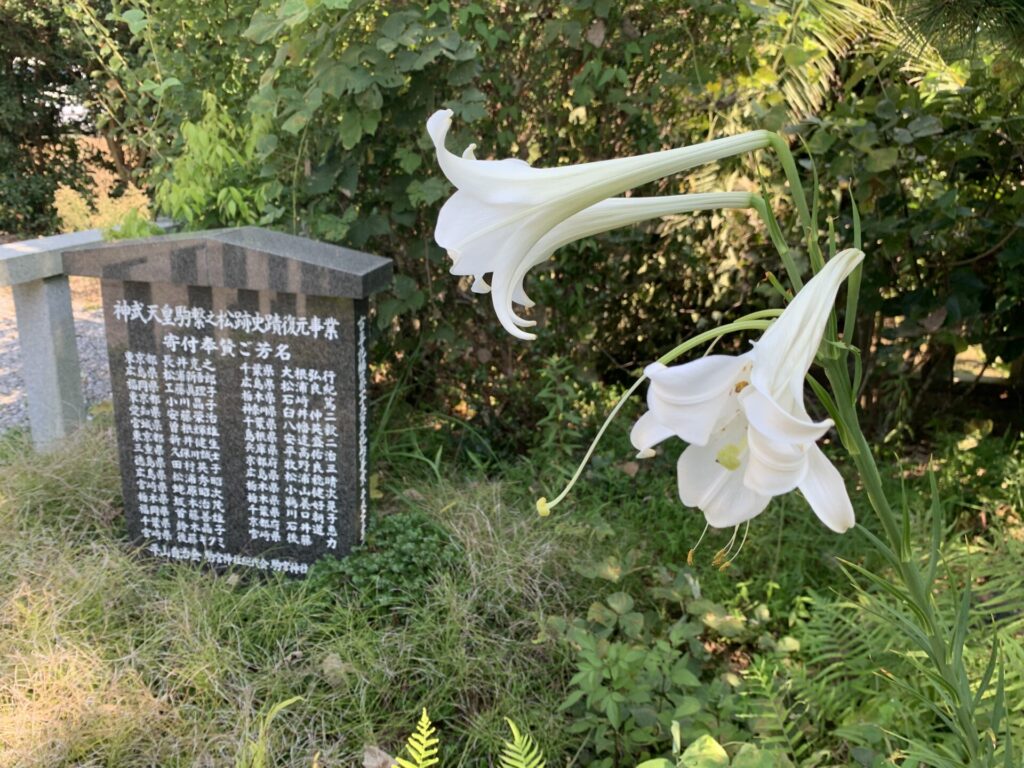 神武天皇駒繋ぎの松跡史跡復元事業　寄付奉賛ご芳名